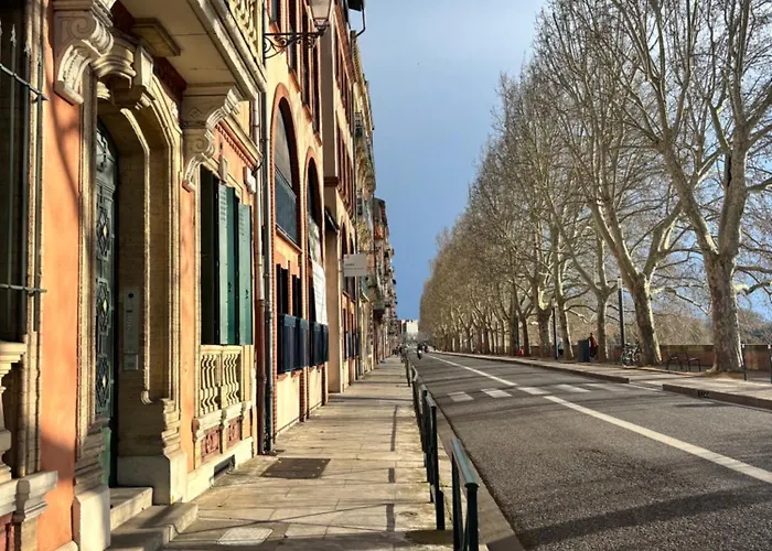 Centre Historique De - Cosy Face A La Garonne - L'ecrin De Tounis Apartman Toulouse