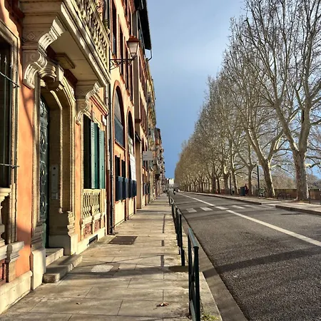 Centre Historique De - Cosy Face A La Garonne - L'ecrin De Tounis 公寓 圖盧茲