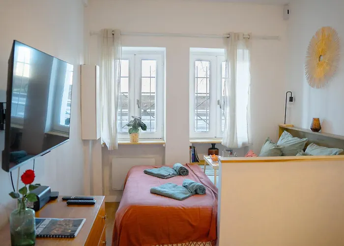 Centre Historique De - Cosy Face A La Garonne - L'ecrin De Tounis شقة تولوز