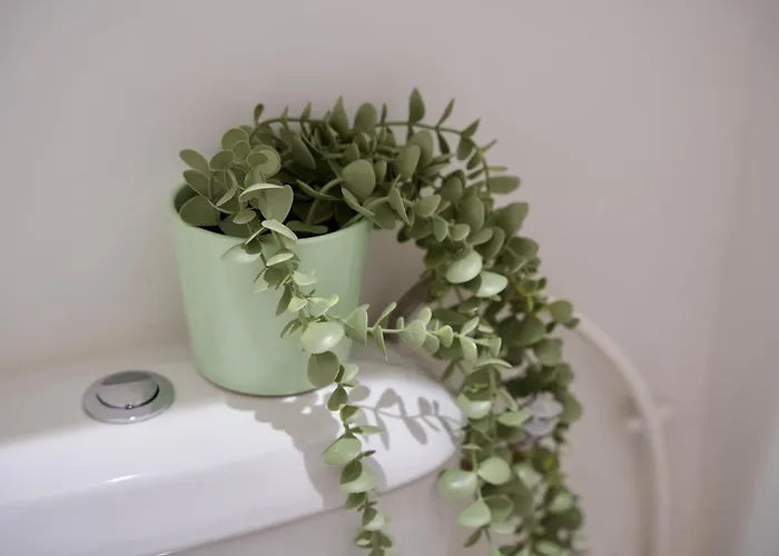 Апартаменты Centre Historique De - Cosy Face A La Garonne - L'ecrin De Tounis