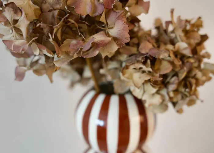 Centre Historique De - Cosy Face A La Garonne - L'ecrin De Tounis 公寓 圖盧茲