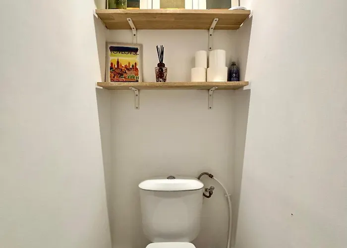 Centre Historique De - Cosy Face à La Garonne - L'écrin De Tounis * Tolosa